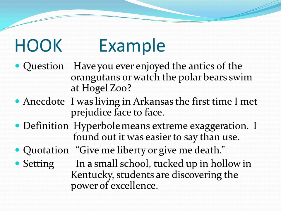 Hook in an essay examples